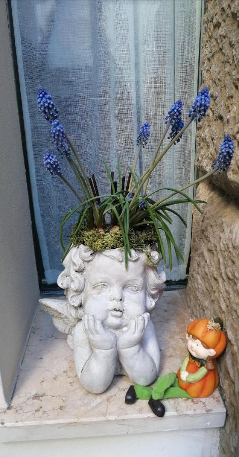 Verona Goddess House 外观 照片